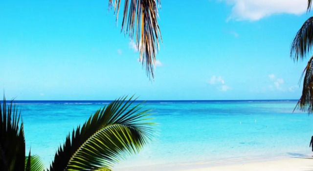 Апартаменты Beach Cove 4