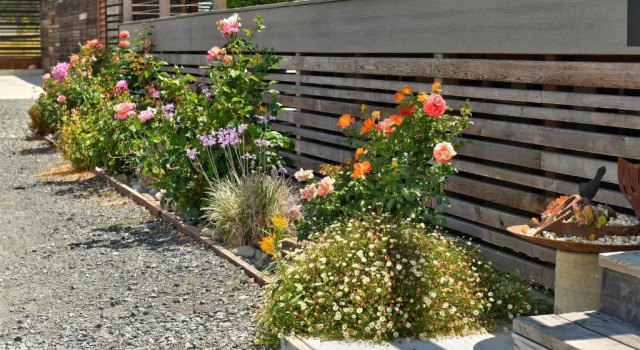 Farm to Table Hideaway in Healdsburg, Book Farm Stay Healdsburg Wine Country - Northern California
