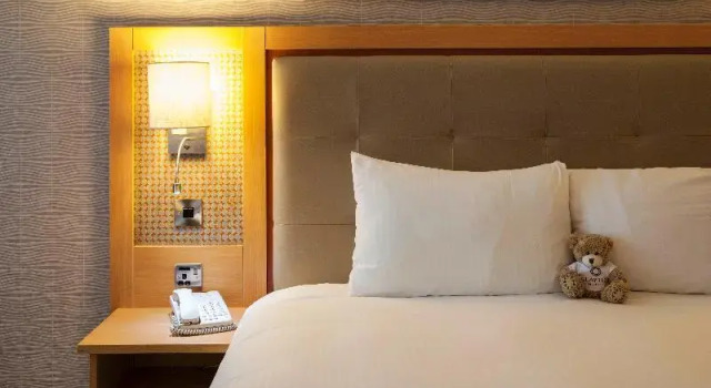 Одноместный номер Standard Clayton Hotel Cardiff Lane