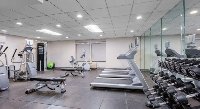 Номер Executive Holiday Inn La Mirada Buena Park by IHG
