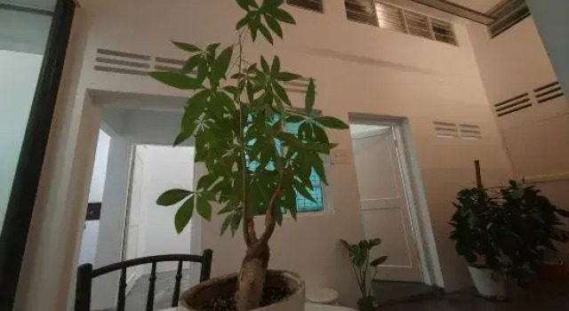 Zen Retreat KL (2BR) Colonial-Zen style