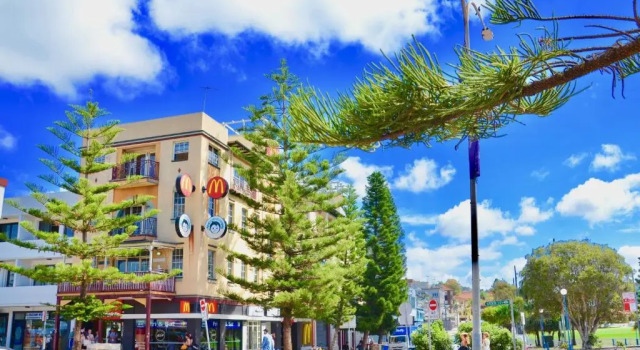 Кровать в общем номере (женский номер) Mad Monkey Hostel Coogee Beach