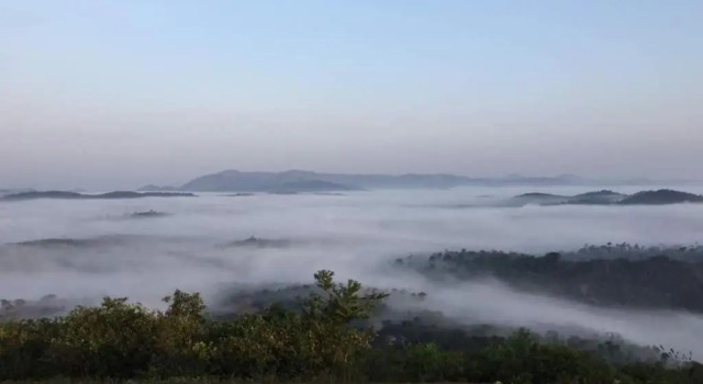 Vamoose Stream Edge, Varaa Hostelli Sakleshpur Bangalore