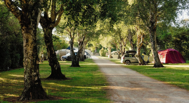 Номер Standard Golden Bay Holiday Park