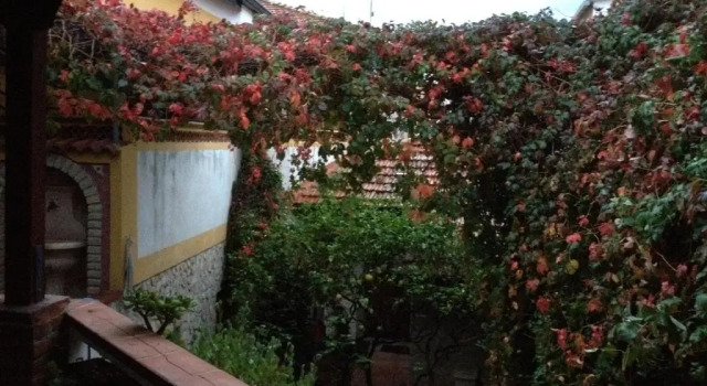 Номер Standard La Villetta