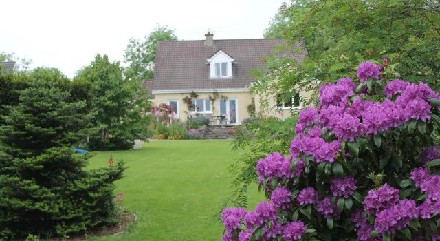 Двухместный номер Deluxe Blossom Hill Bed and Breakfast