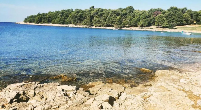 Вилла с видом на море Villa Magnolija