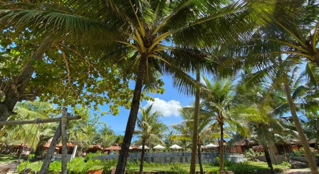 Четырёхместный номер Standard с видом на море Thanh Kieu Beach Resort