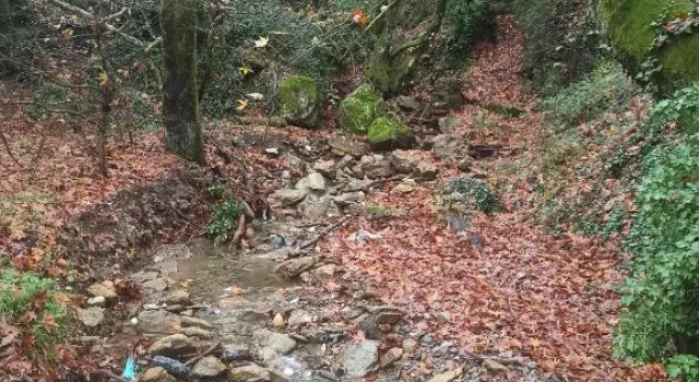 ForestRock Studio FOR SALE TOO, Book Vacation Home Cottages in Lakonia, Cottage