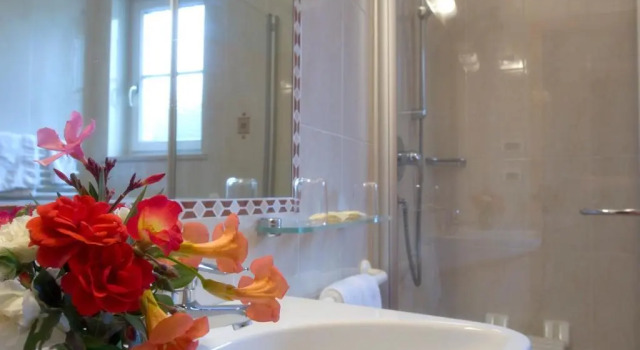 Двухместный номер Standard Hotel Löwenwirt