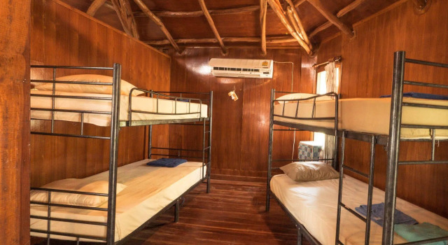 Dancing Elephant Beach Club - Hostel
