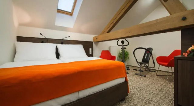 Двухместный номер EA Business Hotel Jihlava