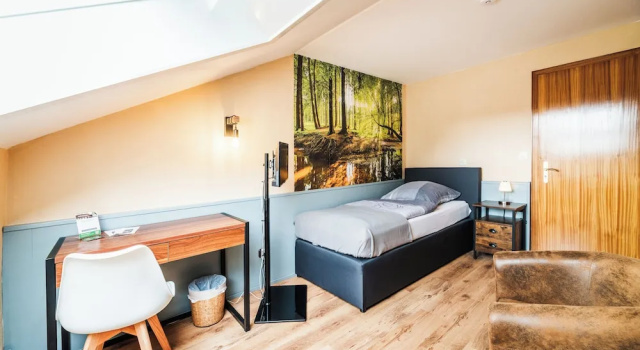 Одноместный номер Economy Landhotel Alte Aue