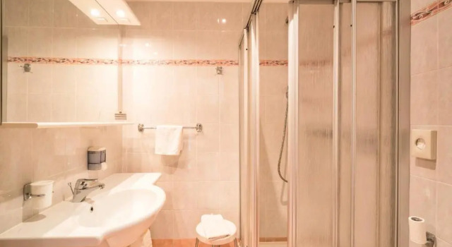 Двухместный номер Standard с видом на горы Hotel Garni Grüner Baum