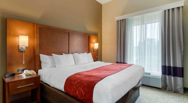 Двухместный люкс Comfort Suites Kingsport South