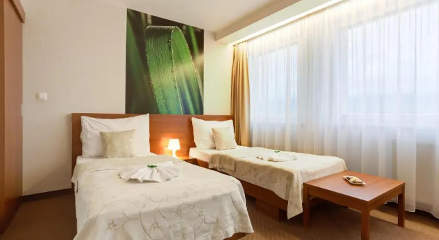 Двухместный номер Standard Hotel Janosik