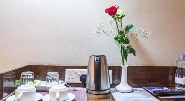 Номер Standard Hotel Rio