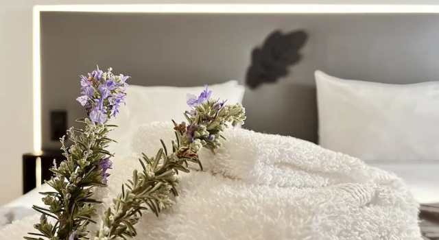 Deluxe dobbelt værelse BHDouro