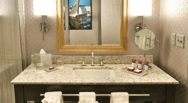 Двухместный номер Deluxe The Guest House at Graceland