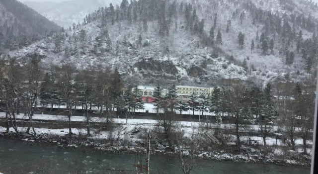 Апартаменты Karlsson Borjomi Apartment.