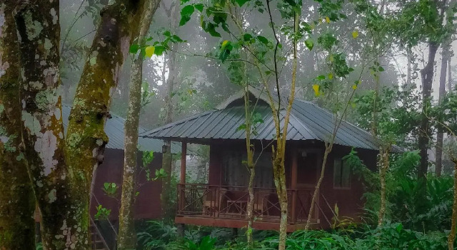 Monsoon Retreats by DAAN, Reserva ahora Bed & breakfast Kumily 