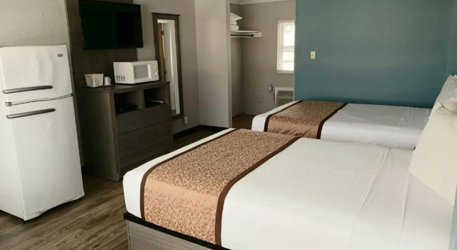 Standard Vierer Zimmer Dolphin Inn