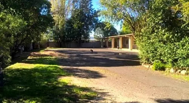 Номер Standard Murray Valley Motor Inn