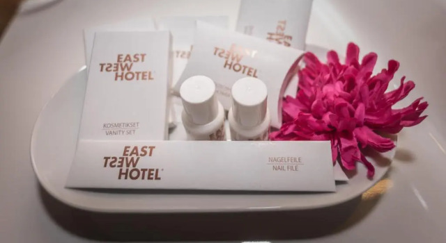 Одноместный номер Standard с видом на город East West Hotel Basel