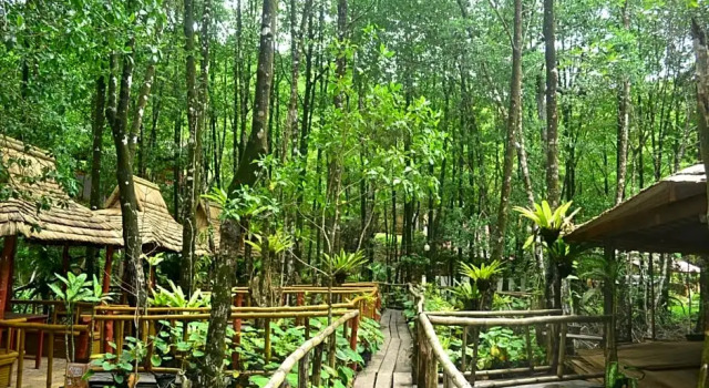 Коттедж Villa Israel Ecopark El Nido
