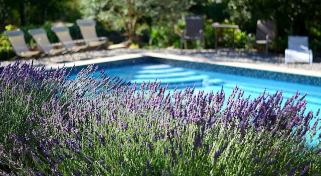 Lavandaline, Book Hotel Hoteller i Green Provence med pool, Swimmingpool