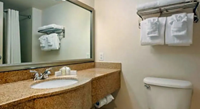 Двухместный номер Standard Wingate by Wyndham Charlotte Concord Mills/Speedway