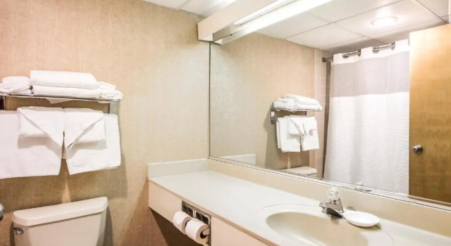 Номер Standard Lodge of the Ozarks