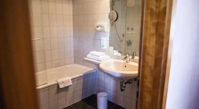 Трёхместный номер Standard Hotel Domizil