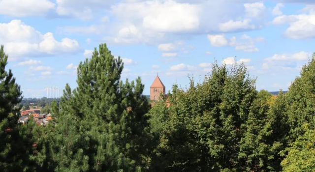 Апартаменты с балконом Parkhotel Klüschenberg