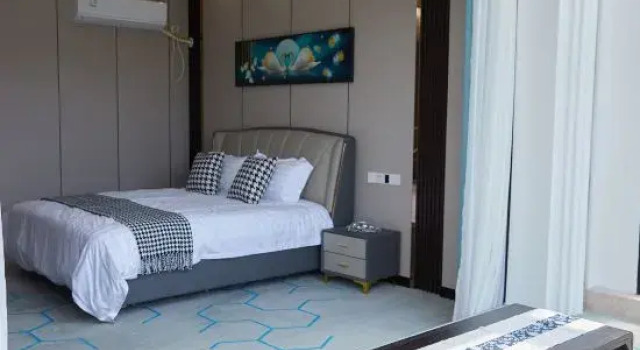 Люкс Shanghai Xinyayishu Homestay