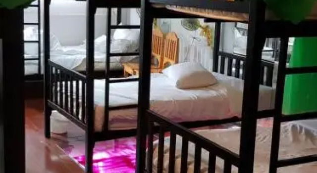 Кровать в общем номере Say Cheese Guesthouse