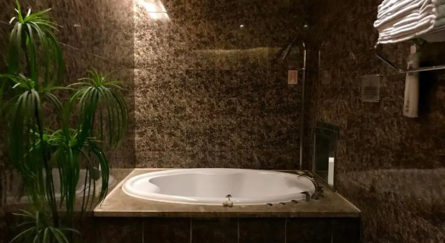Номер Standard Holland Hill Motel