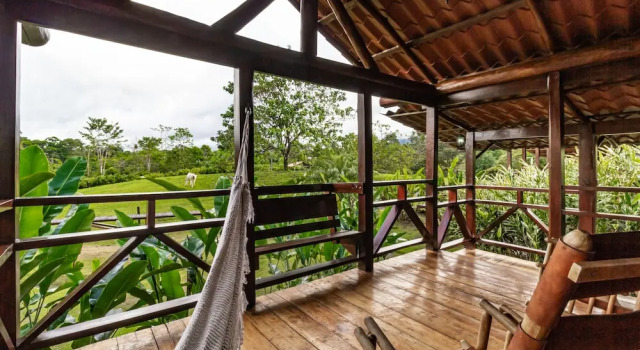 Номер Standard La Anita Rain Forest