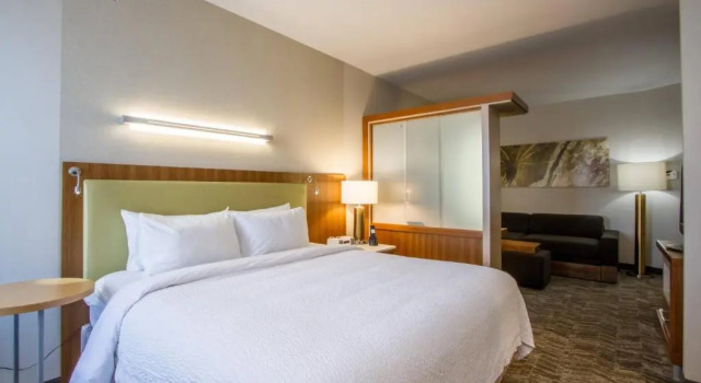 Студия SpringHill Suites by Marriott San Angelo