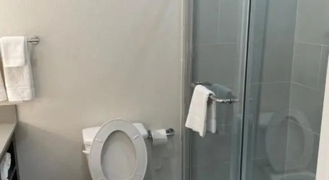 Трёхместный номер Standard Palace Inn Blue - Garth Rd
