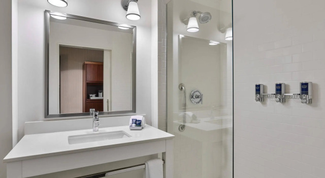 Двухместный номер Standard Four Points by Sheraton Dallas Fort Worth Airport North