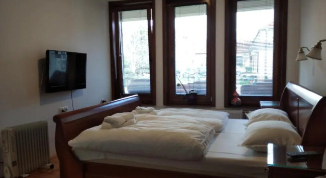 Апартаменты Deluxe Mladenovic apartments