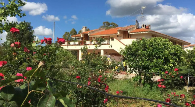 Апартаменты La Yucca B&B