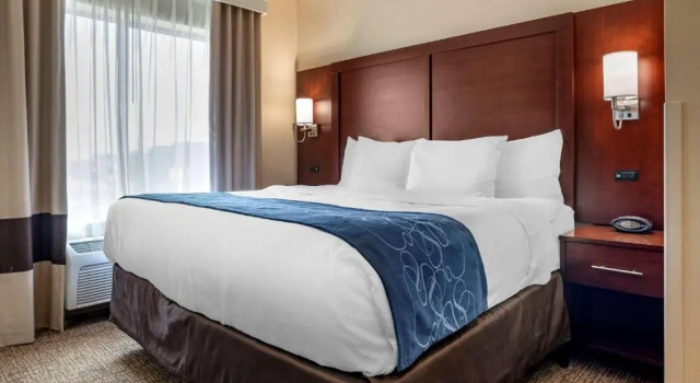 Люкс Comfort Suites Pell City near Logan Martin Lake