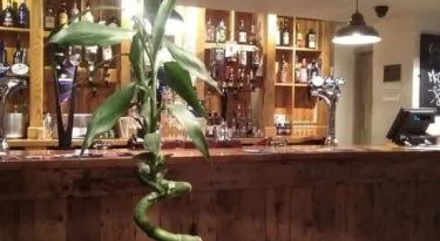 The Stag, Забронировать Отель Ньюпорт Остров Уайт, рядом с Carisbrooke Castle