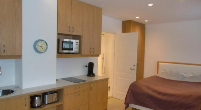 Студия Next Apartment Bergstadastræti