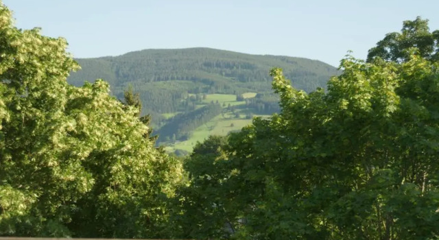 Апартаменты Ferienwohnung Rappeneck-Blick nur für Urlauber