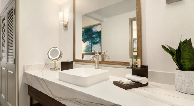 Двухместный люкс c 1 комнатой Отель Buena Vista Suites Orlando
