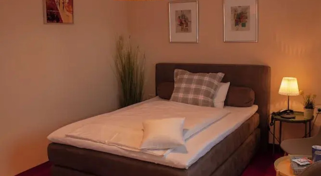 Одноместный номер Classic Hotel am Elisabethufer