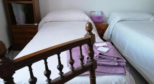 Amor di lavanda, Book Bed and Breakfast Cingoli 